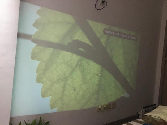 哈趣HQH1极度喜欢感受反馈