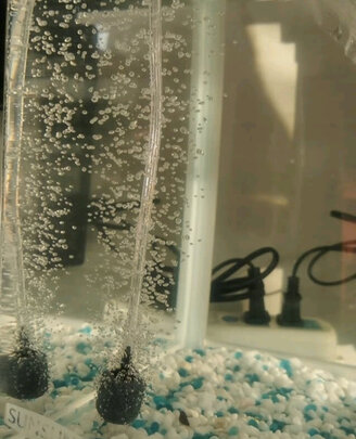 鱼缸氧气泵
