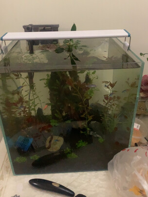 水草泥