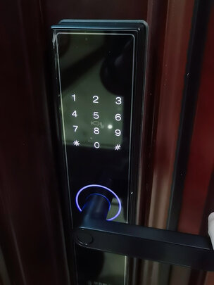德施曼T11|德施曼T11-Pro指纹锁怎么样？内幕使用评测揭秘