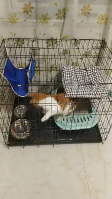 猫笼