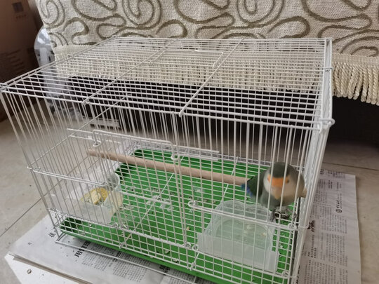 鸟笼