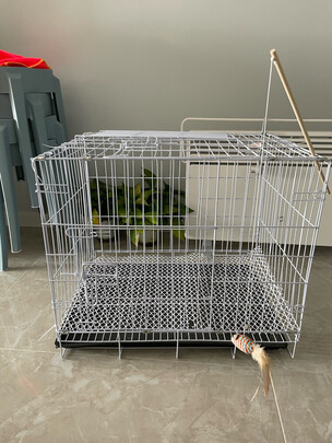  猫笼