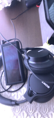 丹拿Xeo 10评判质量差有依据吗？