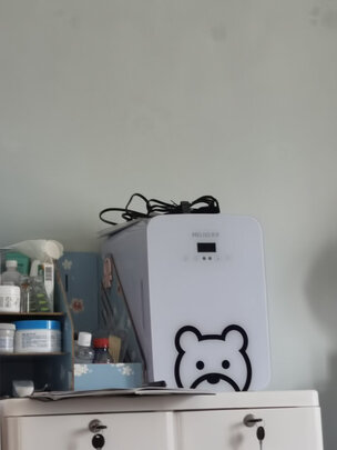 车载冰箱