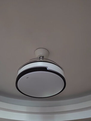 三,tcl风扇灯网友对比评测