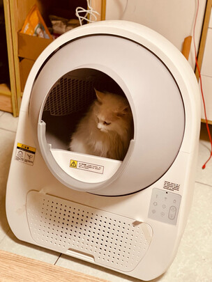 猫砂铲