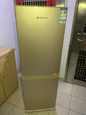 上菱 183升双门冰箱 小型家用电冰箱 节能低噪 低温补偿 持久保鲜 冷藏冷冻两门小冰箱 BCD-183D金色