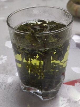 云雾绿茶