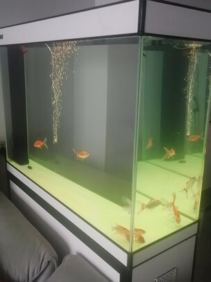 智能鱼缸