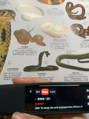 有道YDP031翻译笔|用户揭秘有道YDP031翻译笔好吗,入手解密评测真相