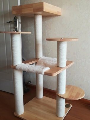 猫爬架