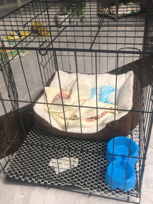 狗笼