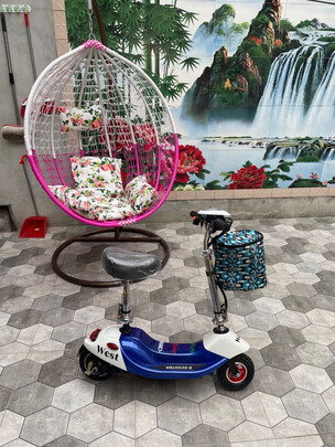 知途鸟电动滑板车