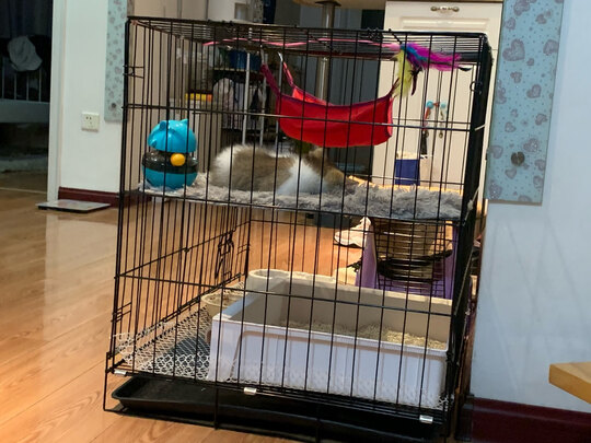  猫笼