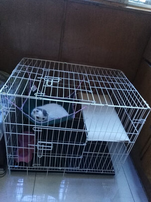  猫笼