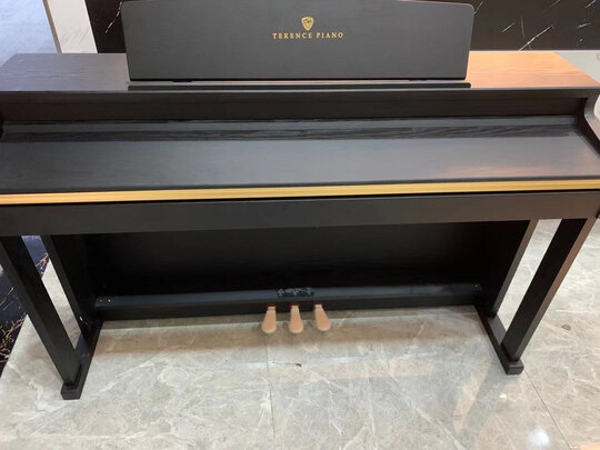 特伦斯ST-8815电钢琴|客观评价特伦斯ST-8815电钢琴怎么样？上手三周说真相