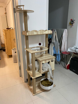 猫爬架