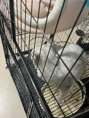 猫笼