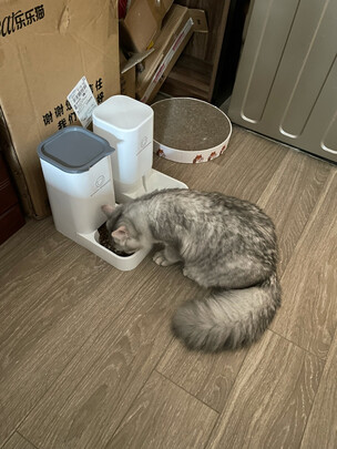宠物自动喂食器