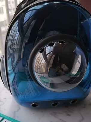 猫包