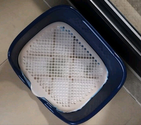 狗厕所