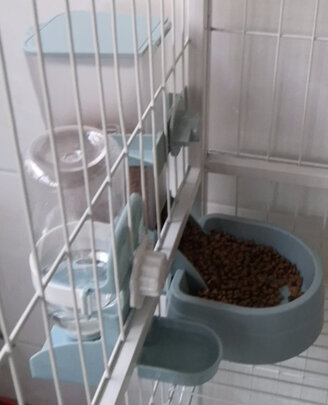 宠物自动喂食器