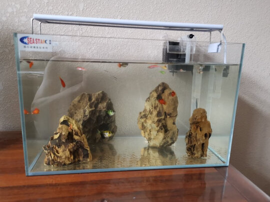 鱼缸灯led灯