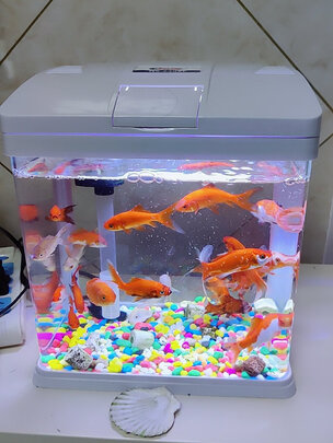 鱼缸过滤棉