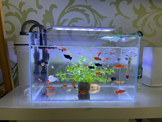 鱼缸灯led灯