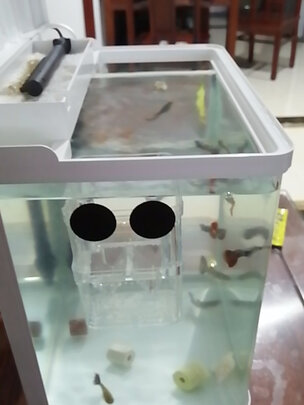 桌面鱼缸