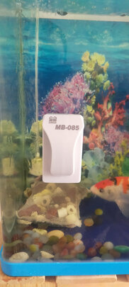 鱼缸刷磁力刷