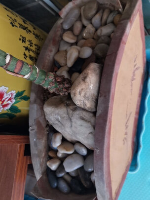 鱼缸造景石头