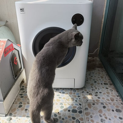 猫砂铲