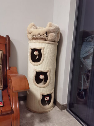 猫爬架