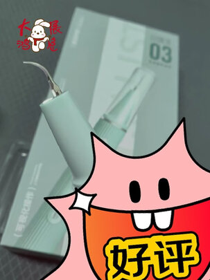 冲牙器