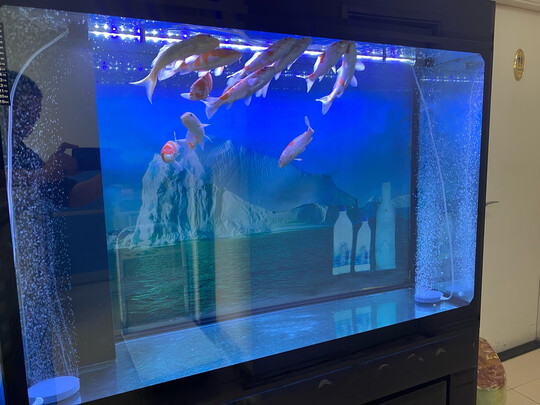 鱼缸灯led灯