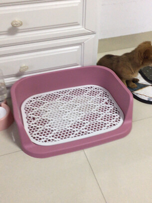 狗厕所