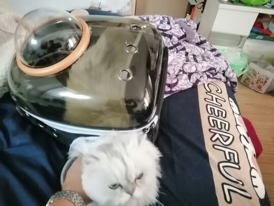 猫包