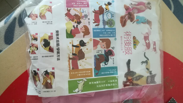 猫咪手术服