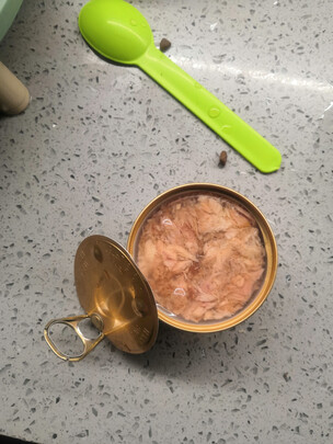 猫罐头