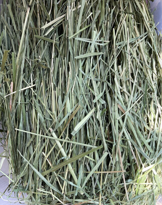 兔粮提摩西草