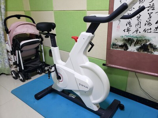 求助专家：舒华SH-B399P怎么样到底垃不垃圾？