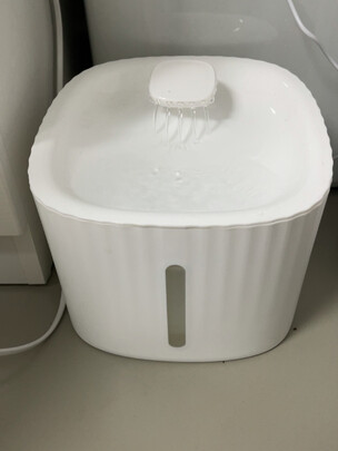 宠物饮水机