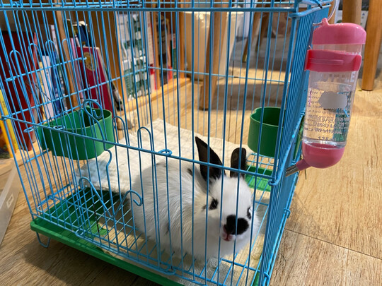 仓鼠水壶
