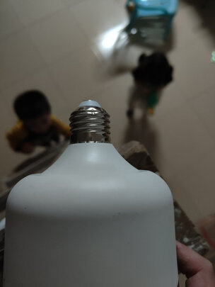 led灯泡