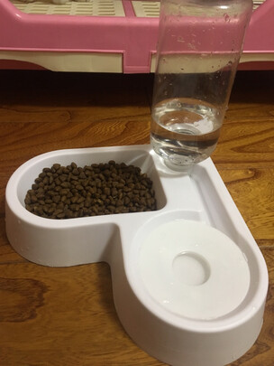 猫碗狗碗