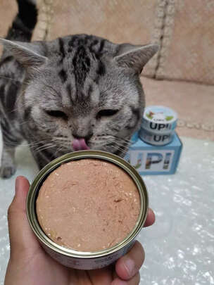 猫粮罐头