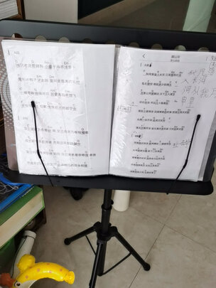 谱架