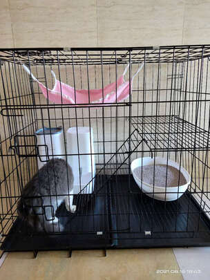 猫笼